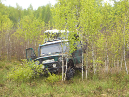 CIMG2153.jpg