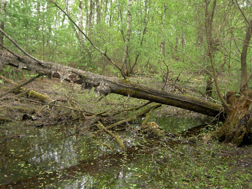 PICT0002.jpg
